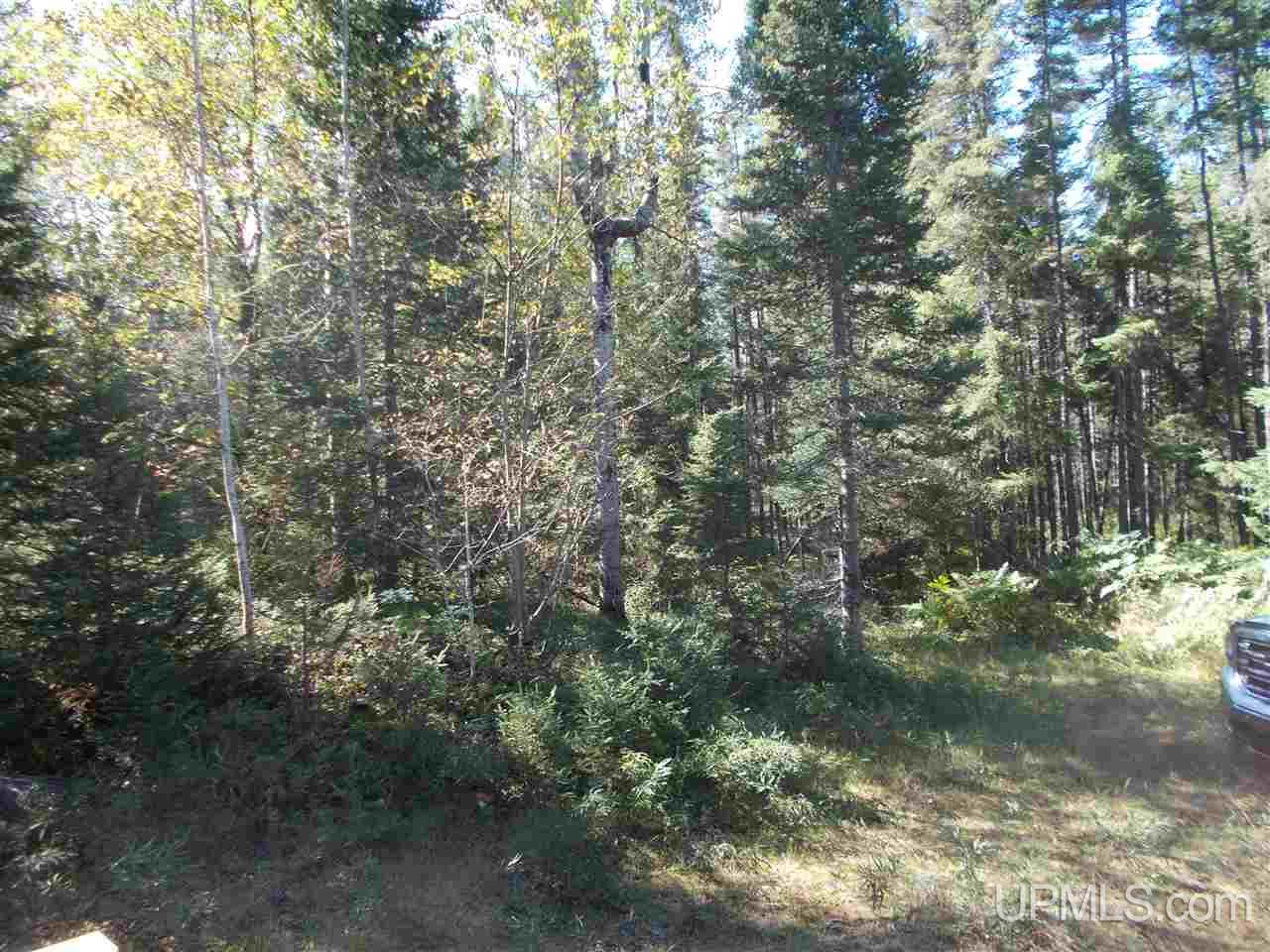 80-acres Co Rd Ffw Republic, MI 49879 - Photo 11 of 21