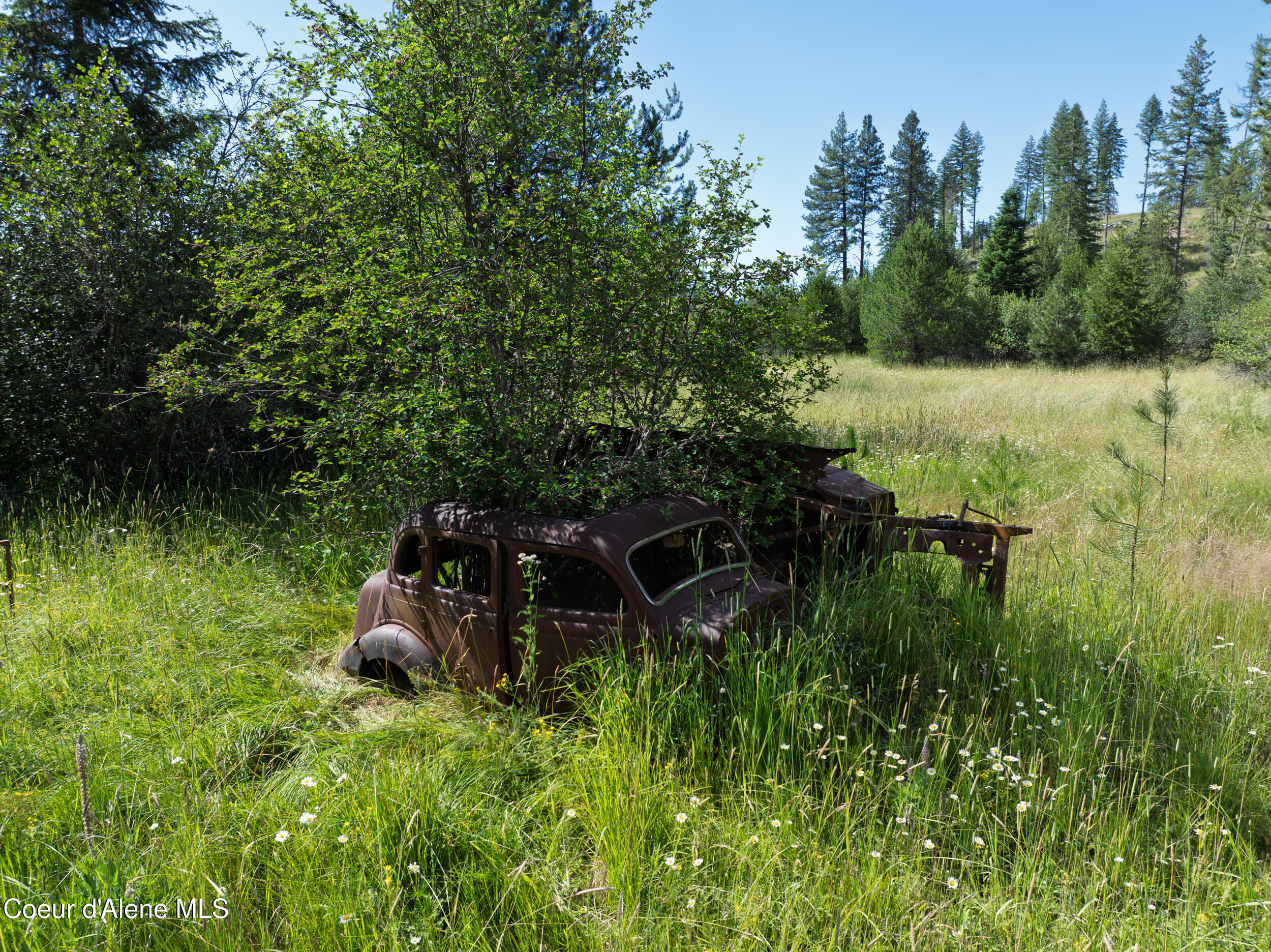 6 Harvard Id 83834 Harvard, ID 83834 - Photo 8 of 32 Cow Creek Tweedy (11 of 29)