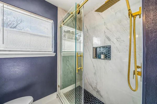 a bathroom with a shower and a toilet