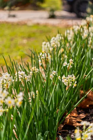 a view of under an umbrella