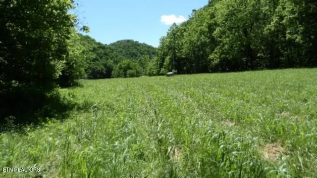 $749,900 | 0 Brimstone Creek Road, Moss, TN 38575