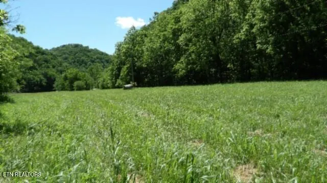 $749,900 | 0 Brimstone Creek Road, Moss, TN 38575