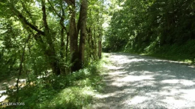 $749,900 | 0 Brimstone Creek Road, Moss, TN 38575