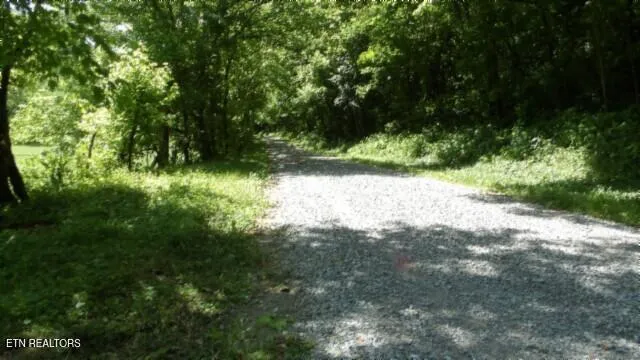 $749,900 | 0 Brimstone Creek Road, Moss, TN 38575