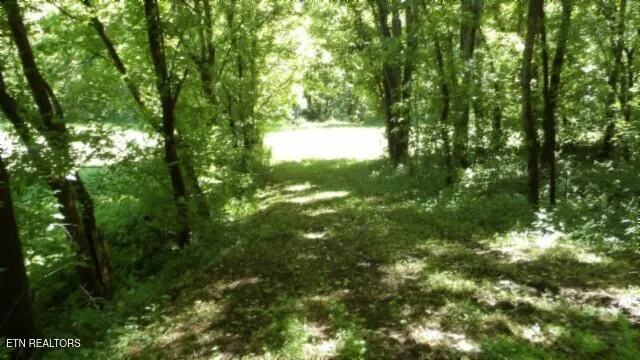 $749,900 | 0 Brimstone Creek Road, Moss, TN 38575