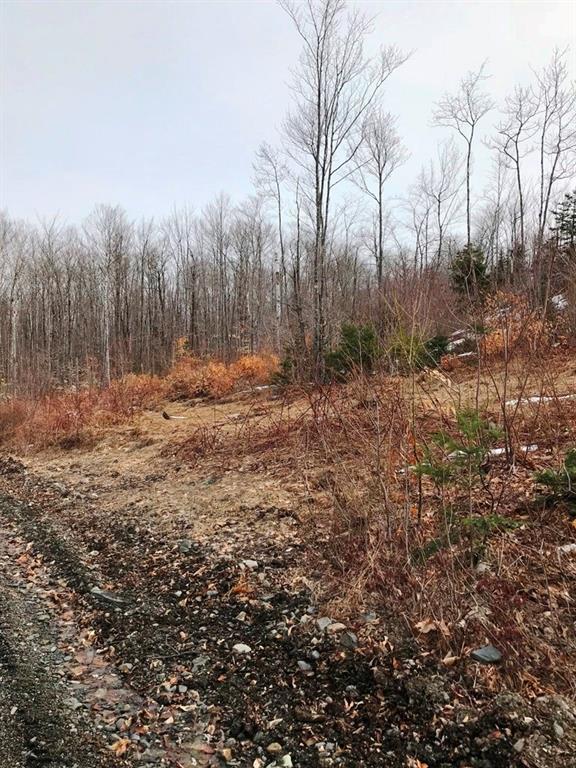 Tbd Blanchard Road Shirley Mills, ME 04485 - Photo 12 of 14 Photo