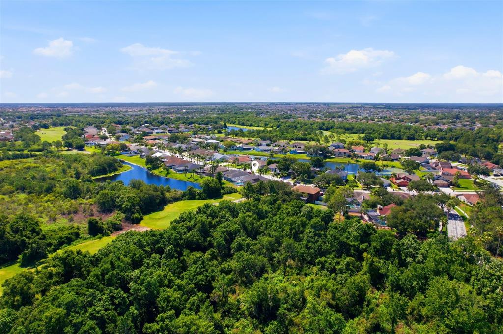 13010 Prestwick Drive Riverview, FL 33579 - Photo 47 of 60
