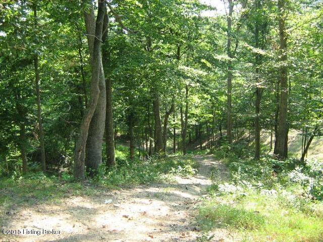 Lot 7-3 Mayflower Road Leitchfield, KY 42207 - Photo 6 of 10 20140501182905273655000000-o