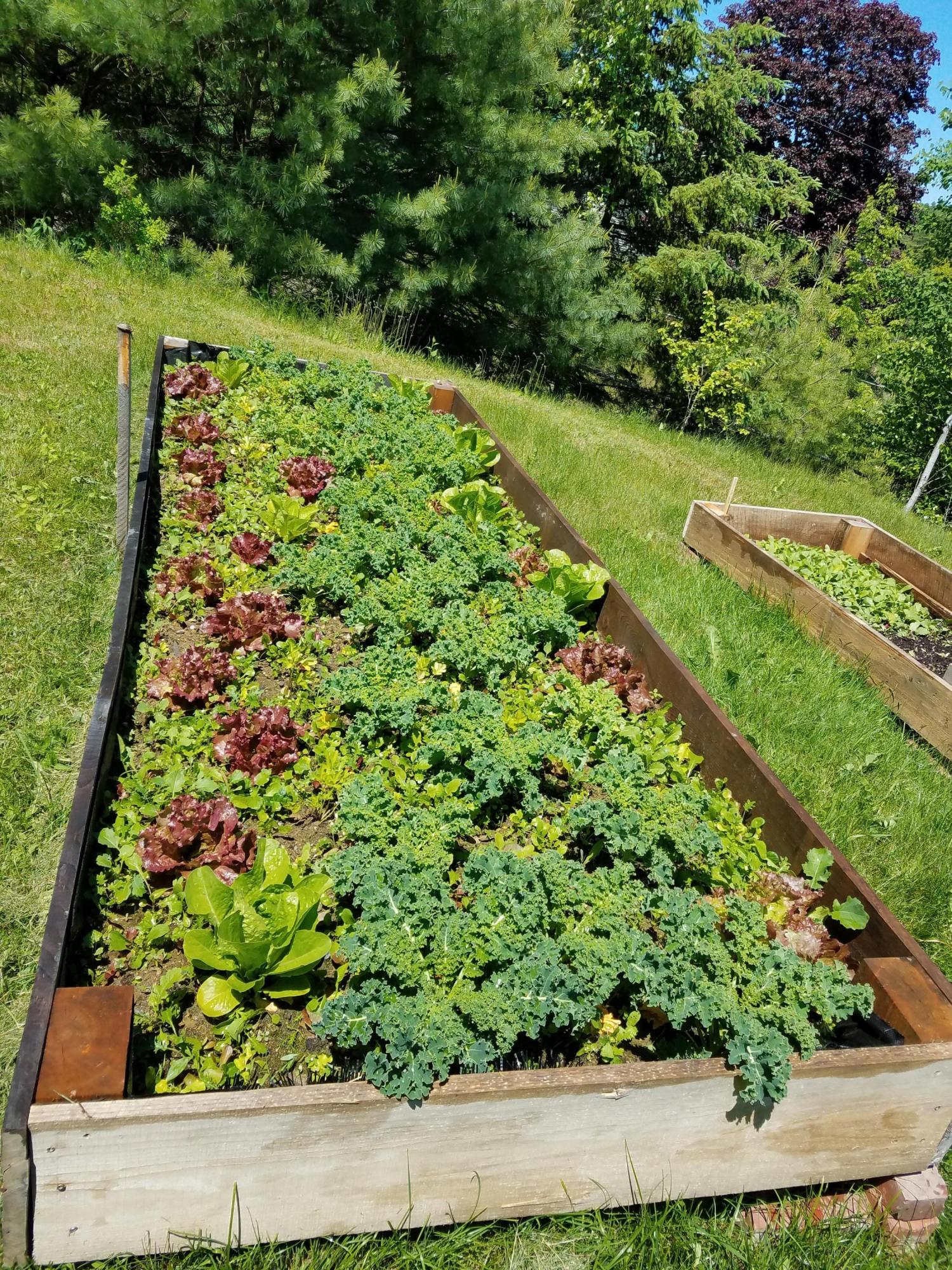 487 Airline Road Ellsworth, ME 04605 - Photo 38 of 61 Raised Beds