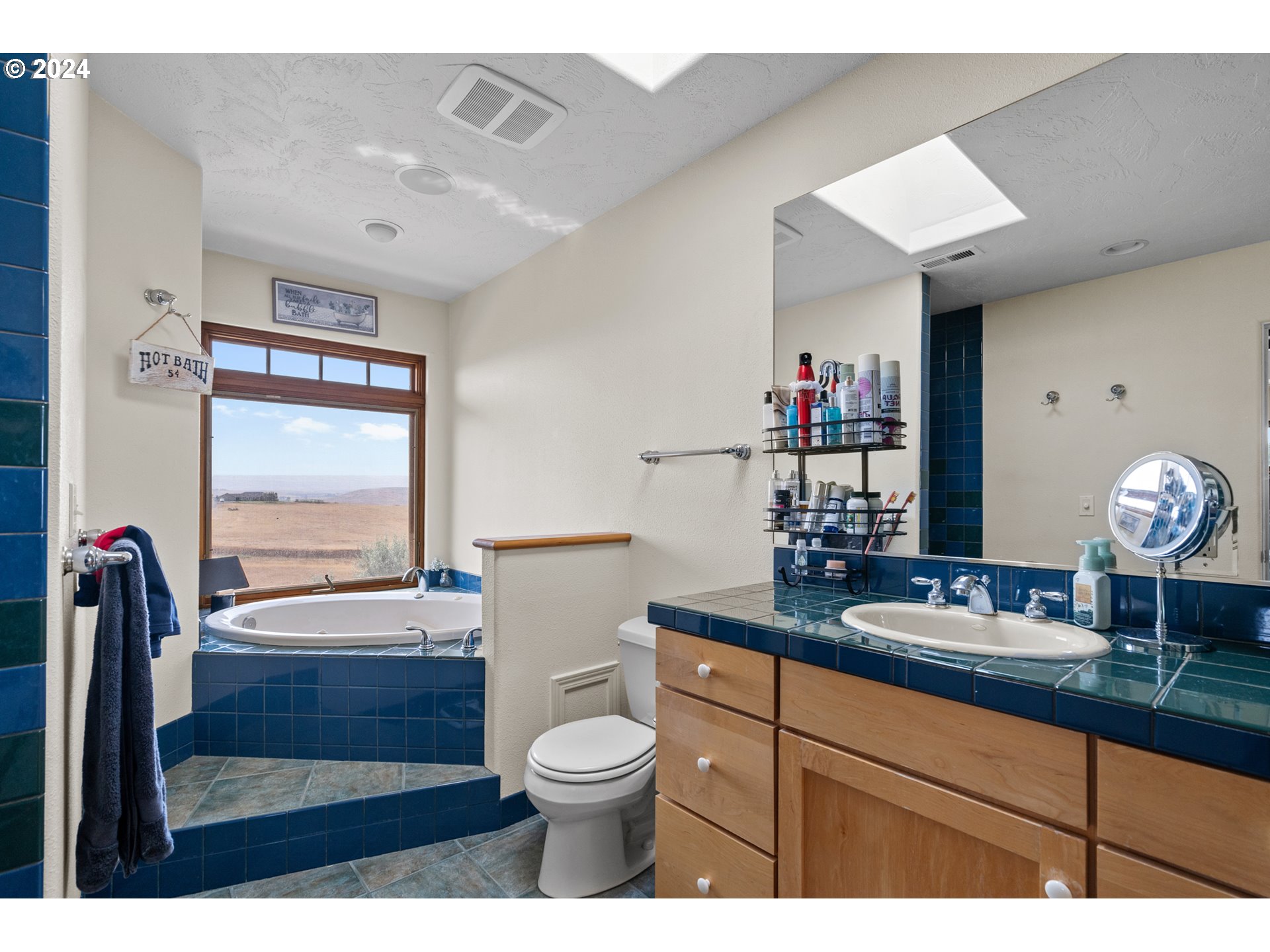 72217 Quill Point Pendleton, OR 97801 - Photo 16 of 48 a bathroom with a sink a toilet and a large mirror