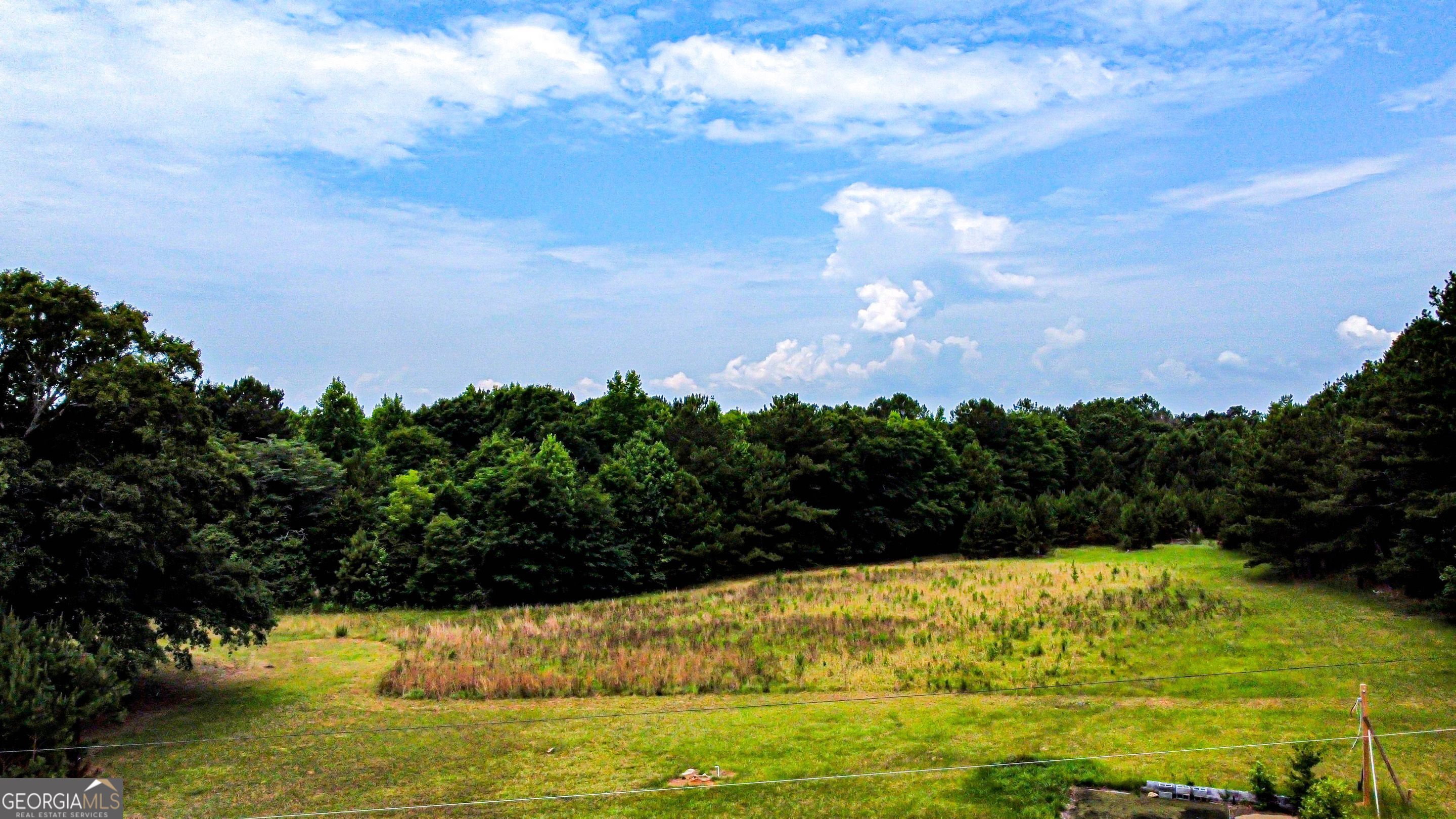 8990 Rivertown Road Fairburn, GA 30213 - Photo 2 of 7 a view of yard with ocean view
