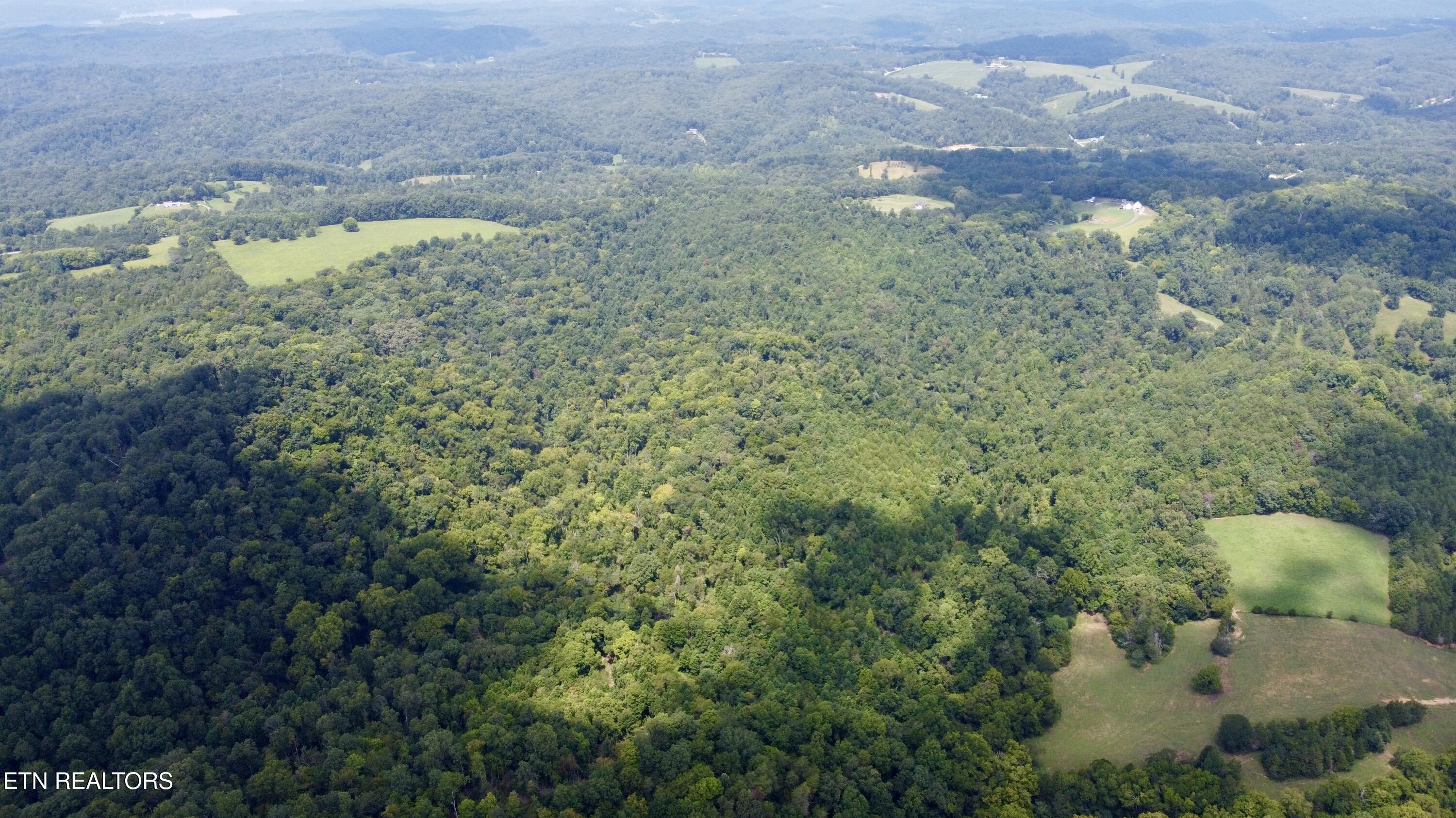 Valley Road Loudon, TN 37774 - Photo 3 of 12 DJI_0015