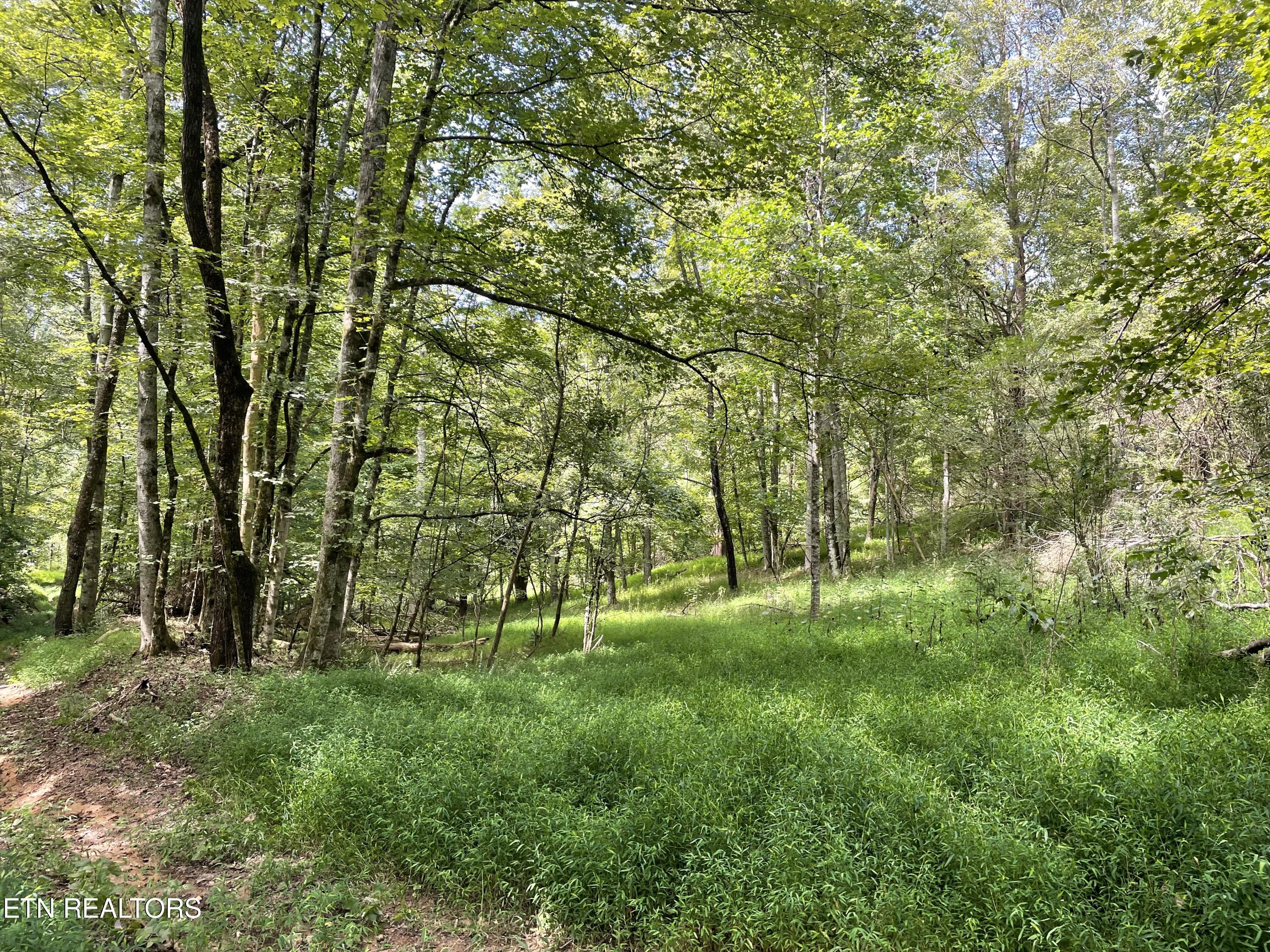Valley Road Loudon, TN 37774 - Photo 10 of 12 IMG_9122