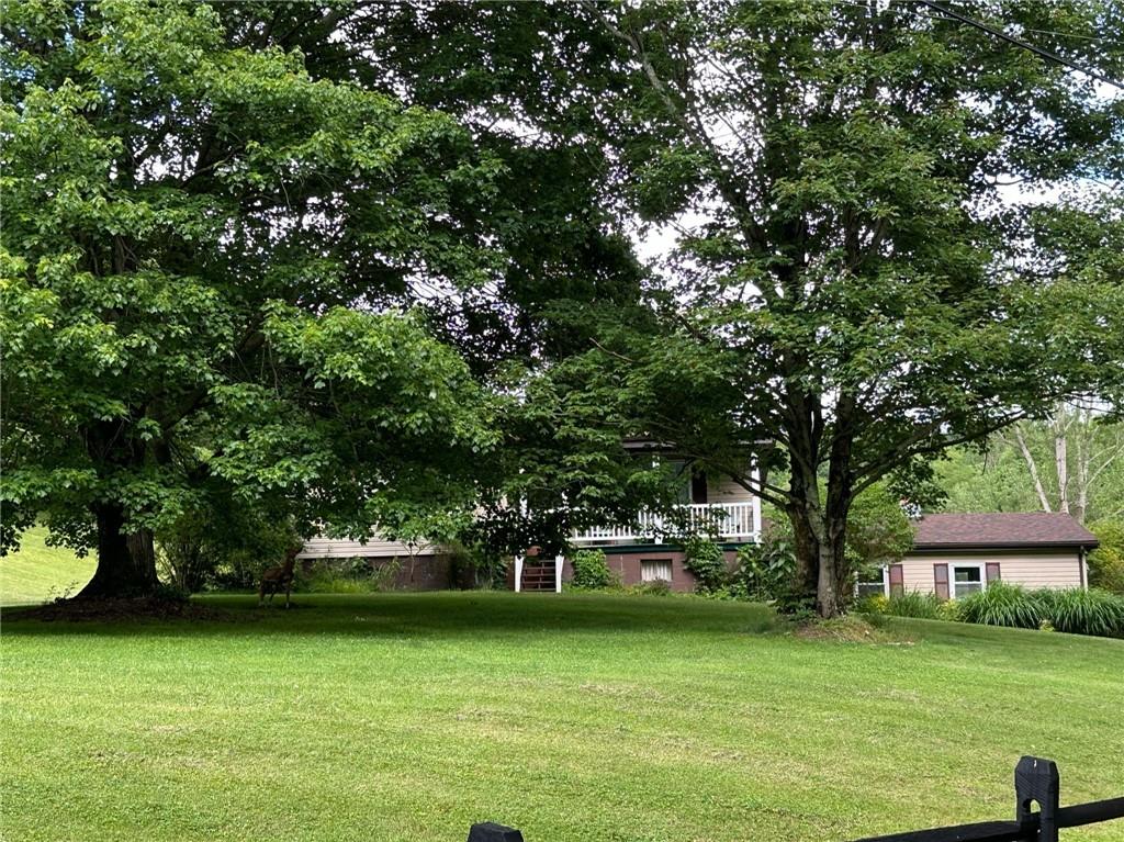 696 Leighty Hollow Road Ruffs Dale, PA 15679 - Photo 8 of 46 a view of a tree in a yard