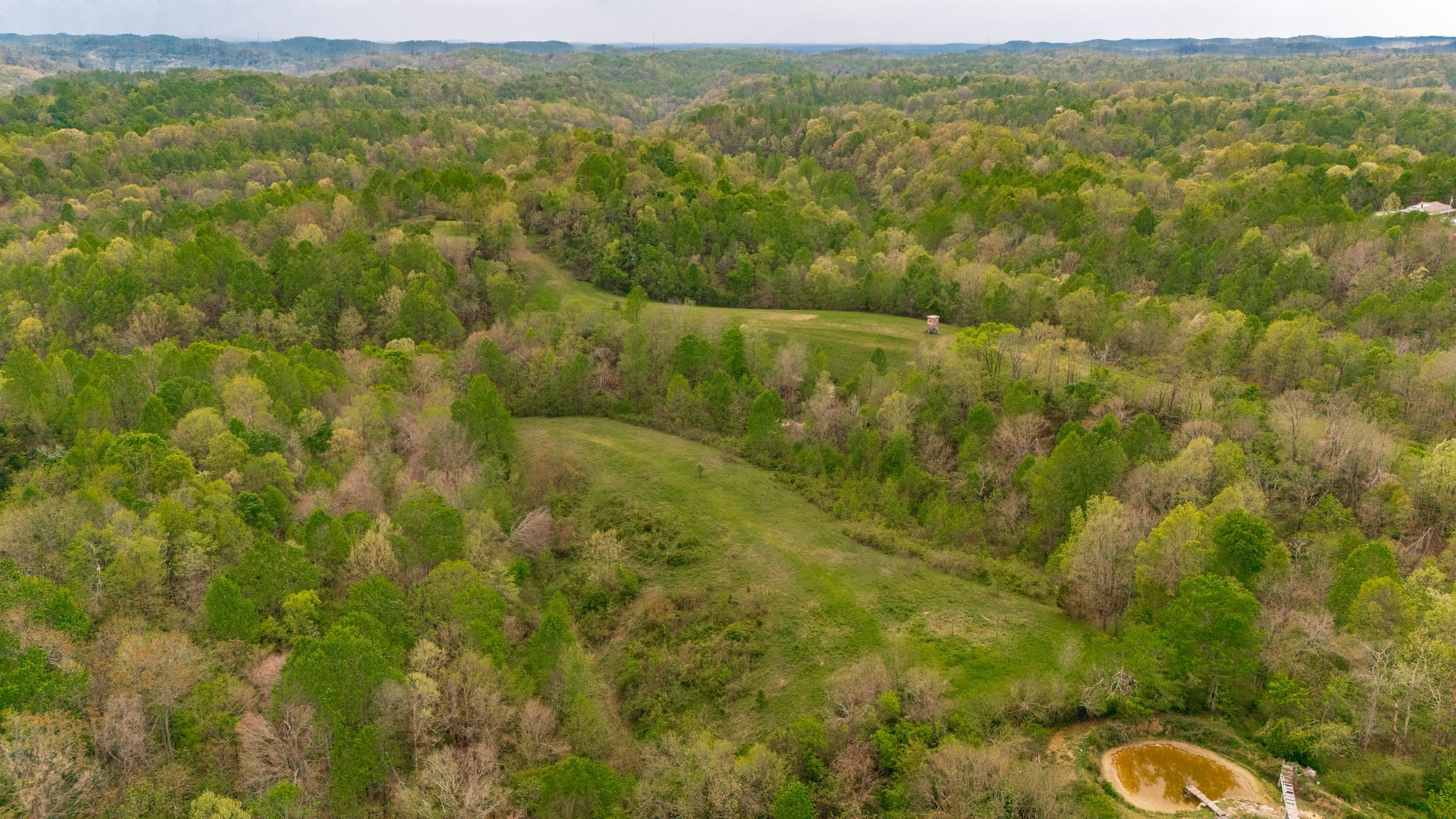 1103 Johnny Spears Road Westmoreland, TN 37186 - Photo 7 of 100