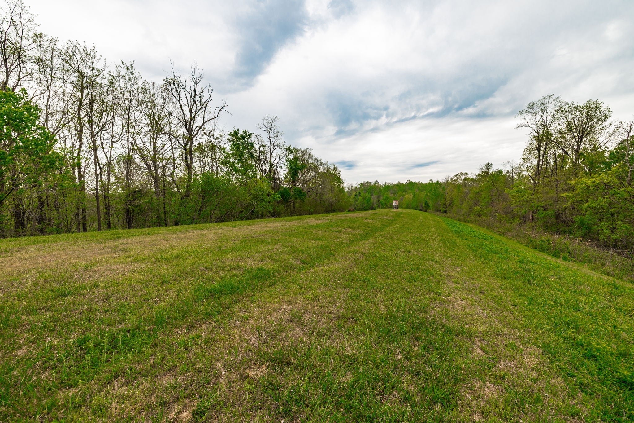 1103 Johnny Spears Road Westmoreland, TN 37186 - Photo 75 of 100 a view of a field of grass and trees