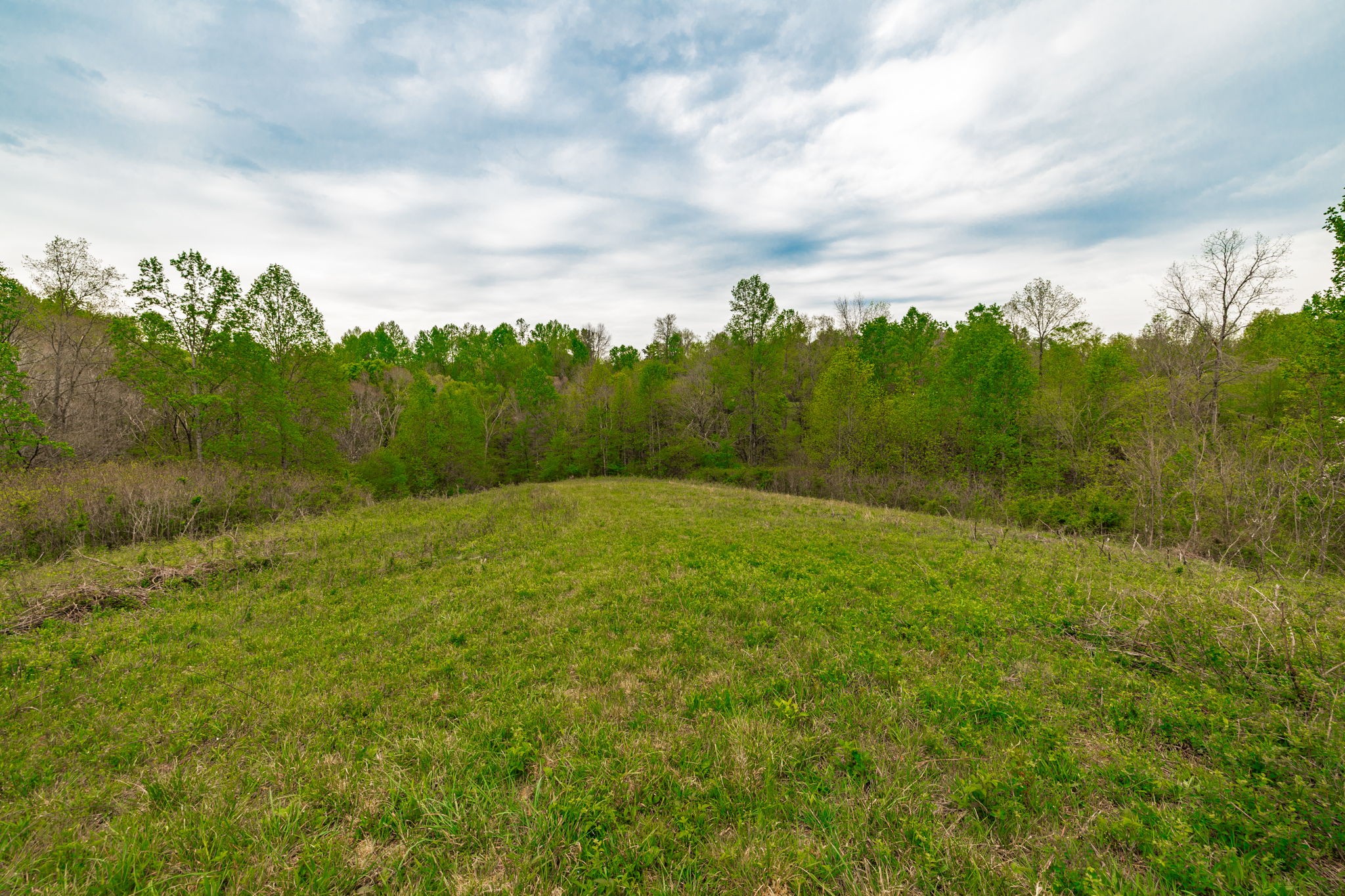 1103 Johnny Spears Road Westmoreland, TN 37186 - Photo 77 of 100