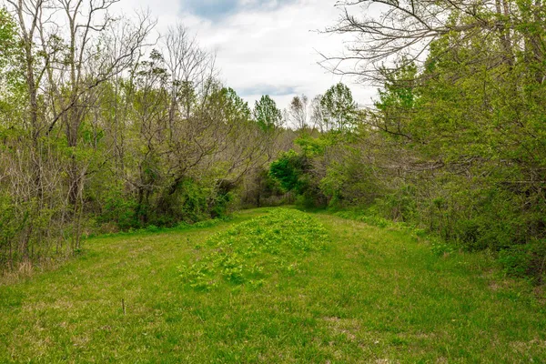 $899,900 | 1103 Johnny Spears Road, Westmoreland, TN 37186