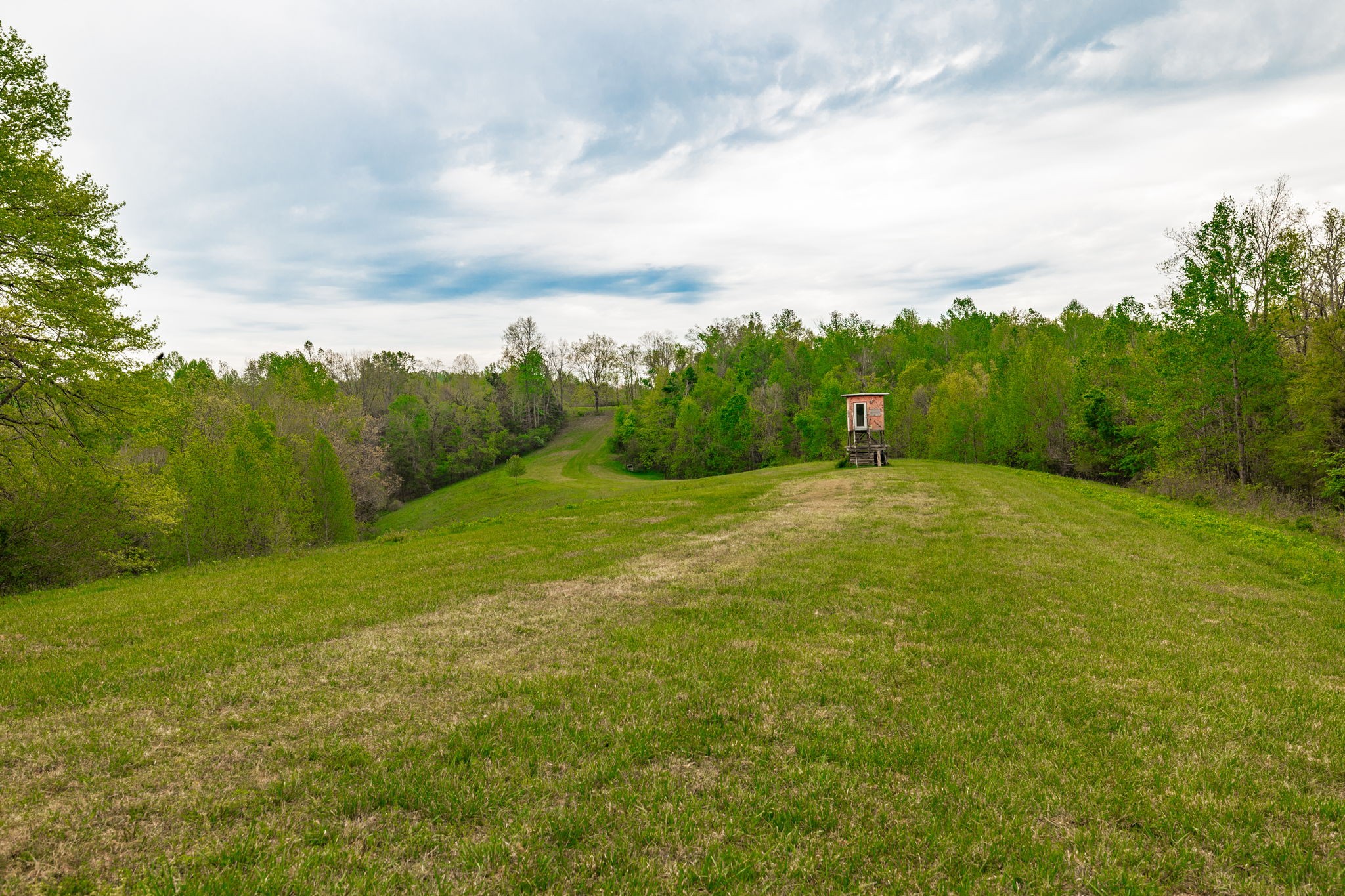 1103 Johnny Spears Road Westmoreland, TN 37186 - Photo 79 of 100