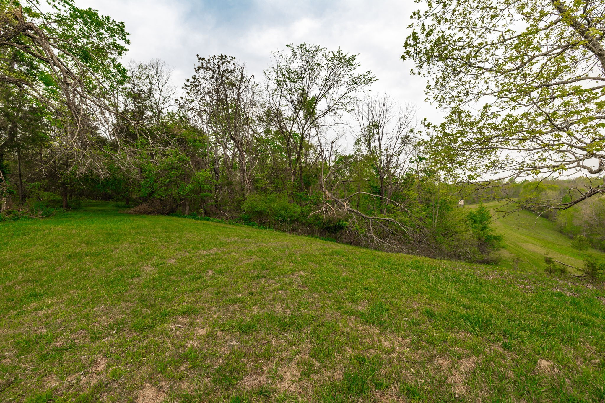 1103 Johnny Spears Road Westmoreland, TN 37186 - Photo 80 of 100