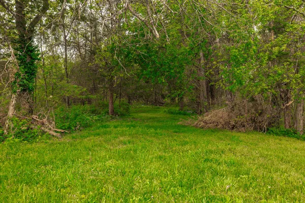 $899,900 | 1103 Johnny Spears Road, Westmoreland, TN 37186
