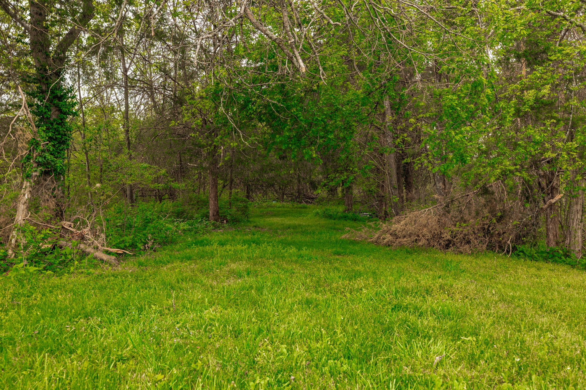 1103 Johnny Spears Road Westmoreland, TN 37186 - Photo 81 of 100