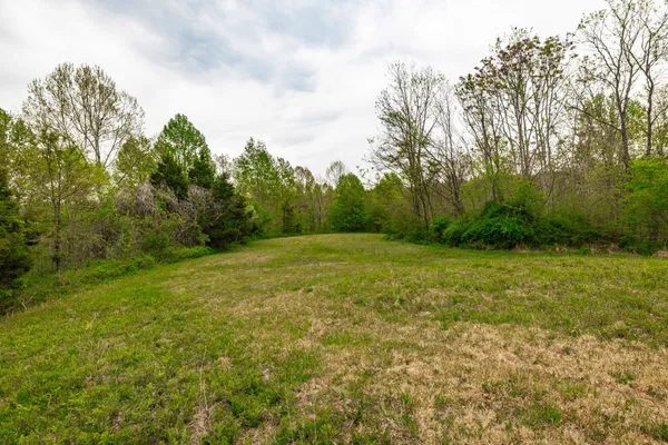 $899,900 | 1103 Johnny Spears Road, Westmoreland, TN 37186