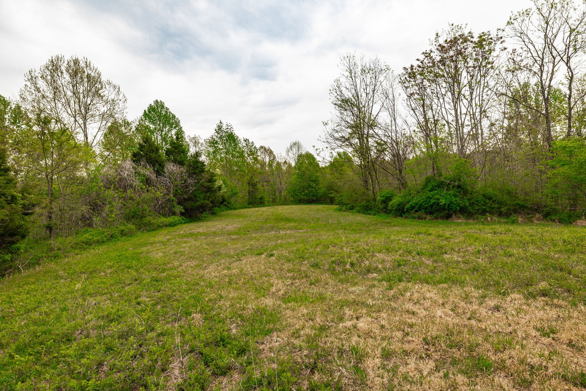 1103 Johnny Spears Road Westmoreland, TN 37186 - Photo 82 of 100