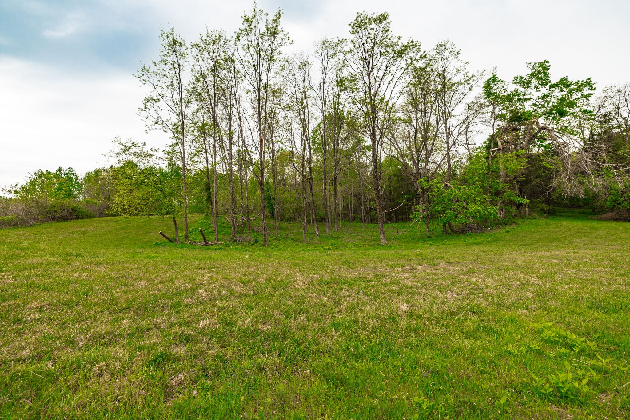 1103 Johnny Spears Road Westmoreland, TN 37186 - Photo 83 of 100