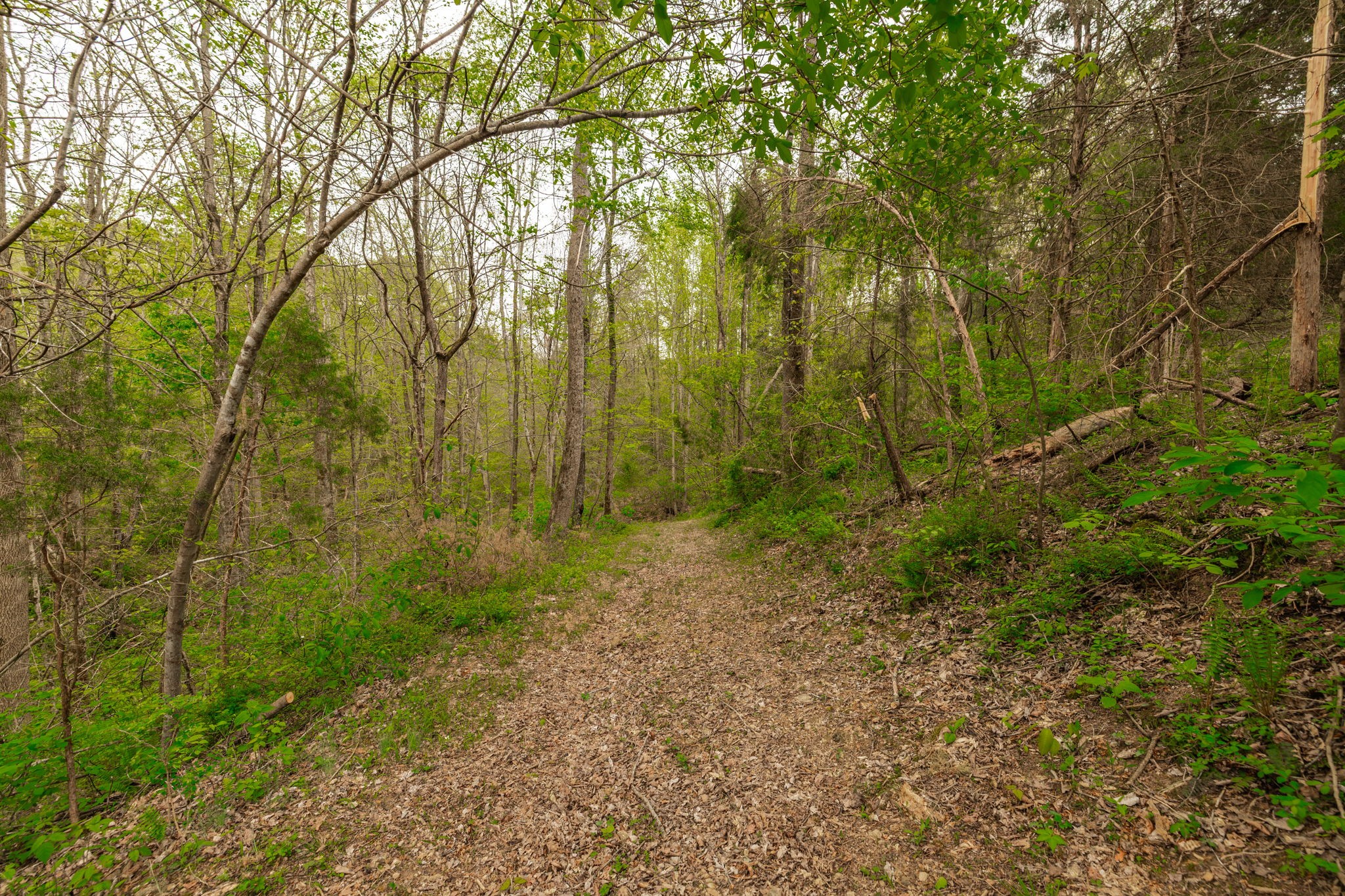 1103 Johnny Spears Road Westmoreland, TN 37186 - Photo 85 of 100