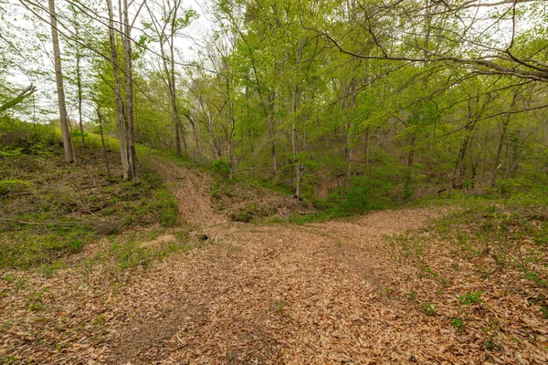 $899,900 | 1103 Johnny Spears Road, Westmoreland, TN 37186