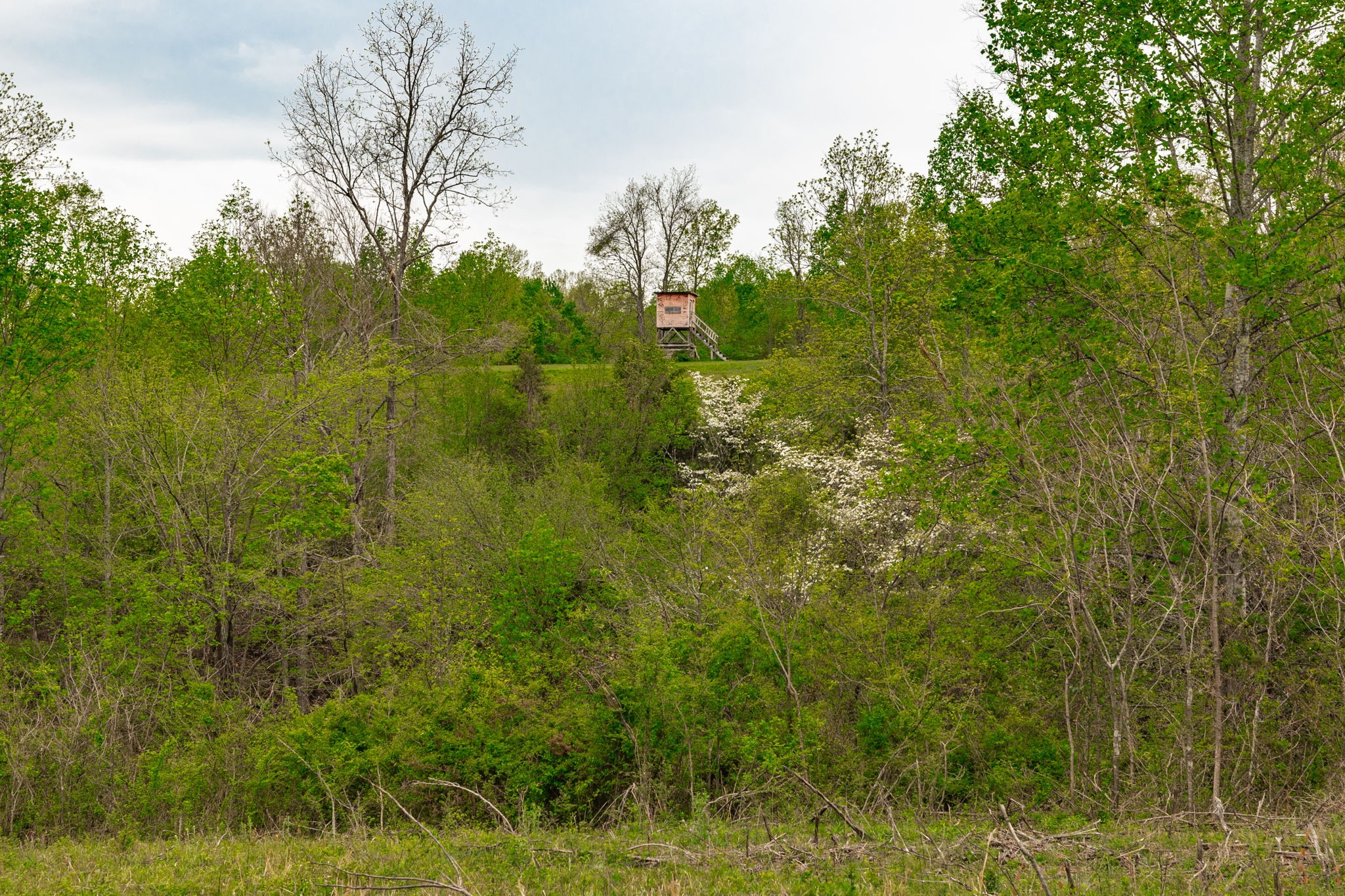 1103 Johnny Spears Road Westmoreland, TN 37186 - Photo 88 of 100