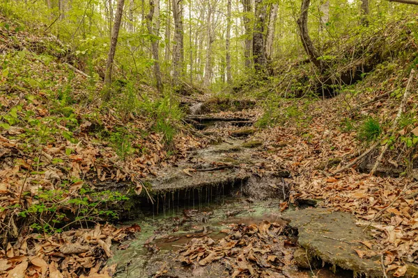 $899,900 | 1103 Johnny Spears Road, Westmoreland, TN 37186
