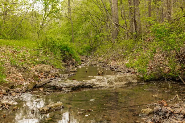 $899,900 | 1103 Johnny Spears Road, Westmoreland, TN 37186