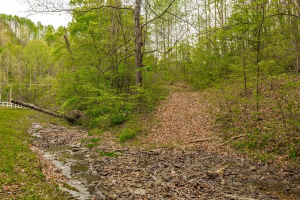 $899,900 | 1103 Johnny Spears Road, Westmoreland, TN 37186