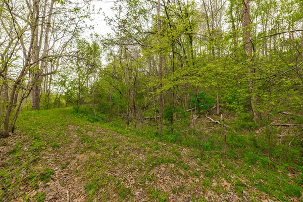 $899,900 | 1103 Johnny Spears Road, Westmoreland, TN 37186