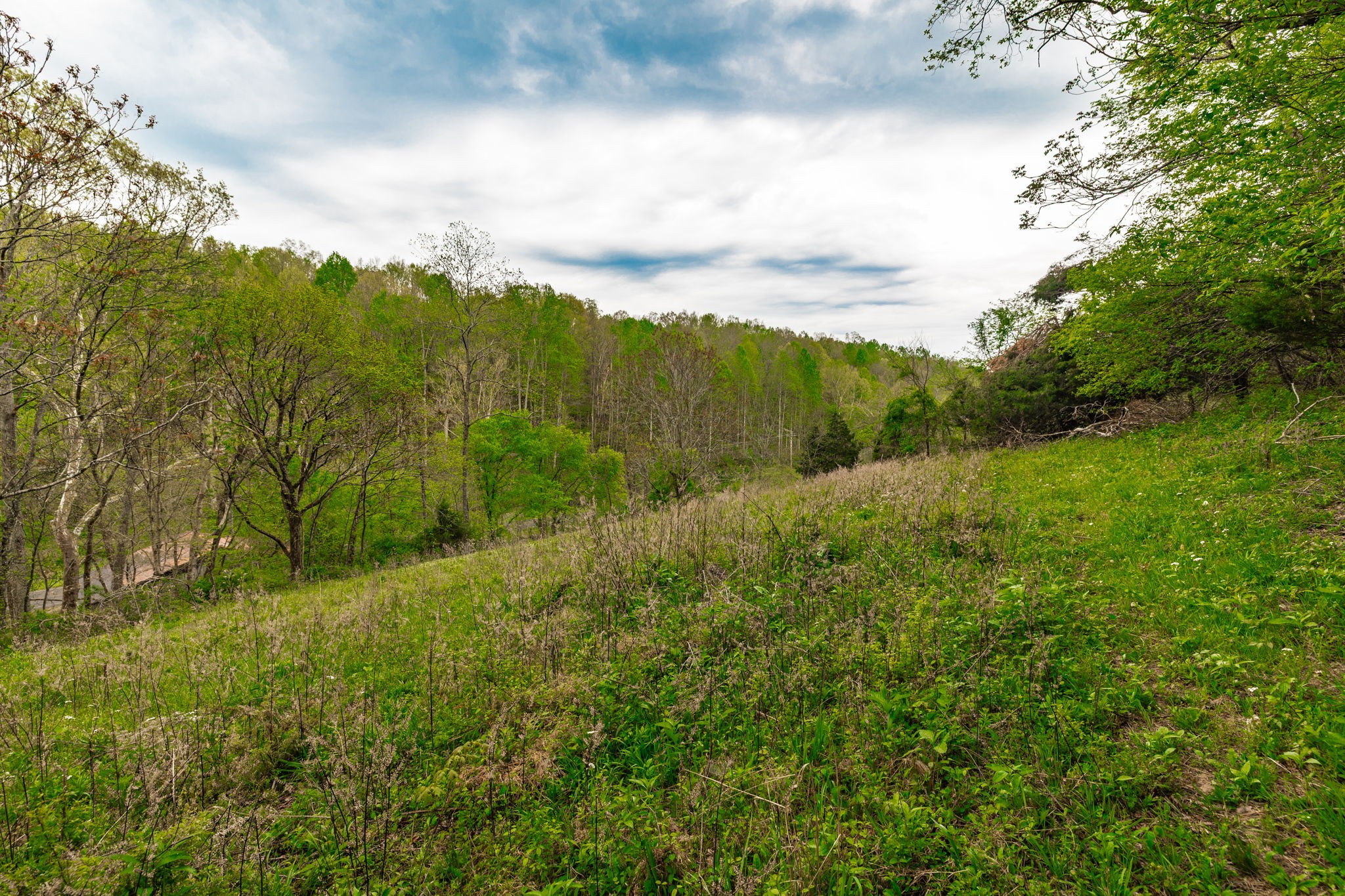 1103 Johnny Spears Road Westmoreland, TN 37186 - Photo 93 of 100