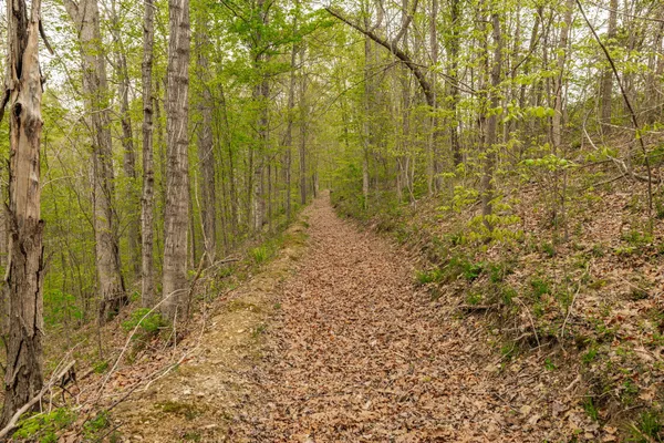 $899,900 | 1103 Johnny Spears Road, Westmoreland, TN 37186