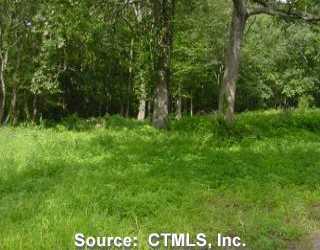 69 Scott Hill Road Colchester, CT 06420 - Photo 1 of 1 a view of forest