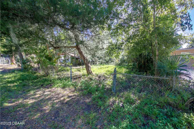 a view of a park with large trees