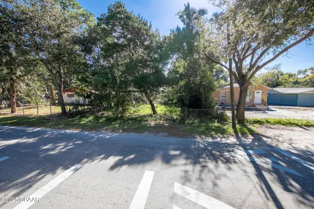 a view of a backyard with potted plants and large trees
