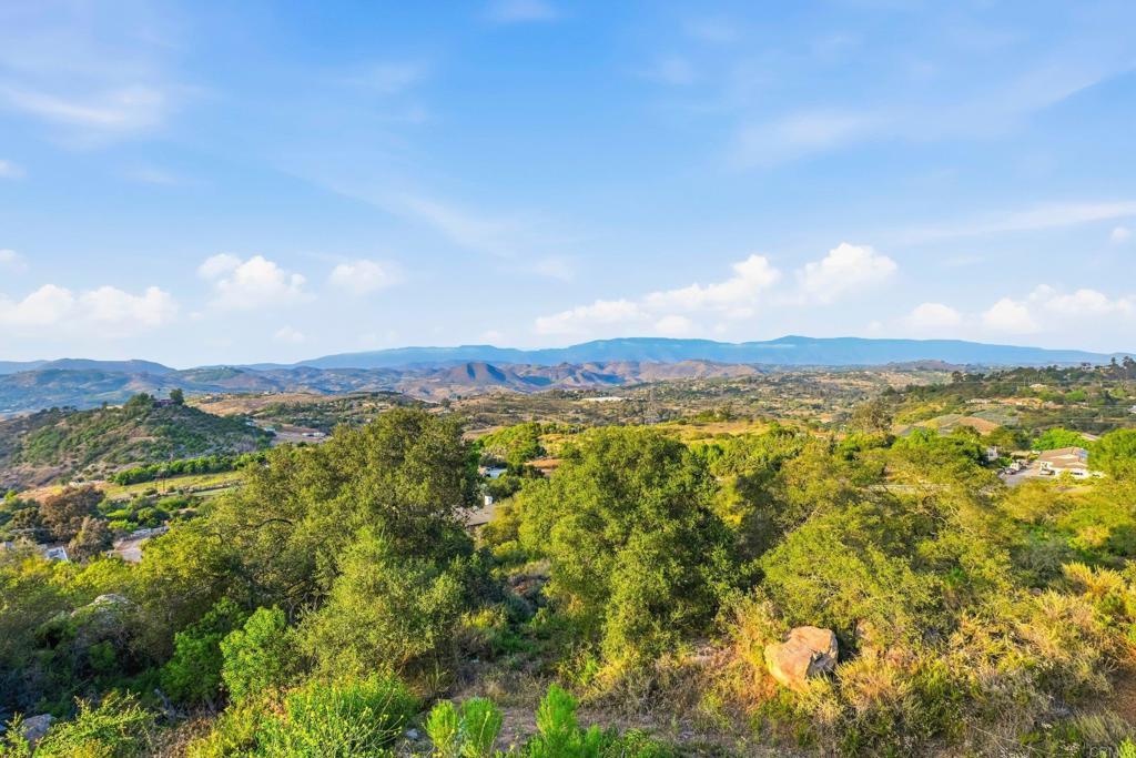 30603 Roadrunner Ridge Valley Center, CA 92082 - Photo 45 of 58