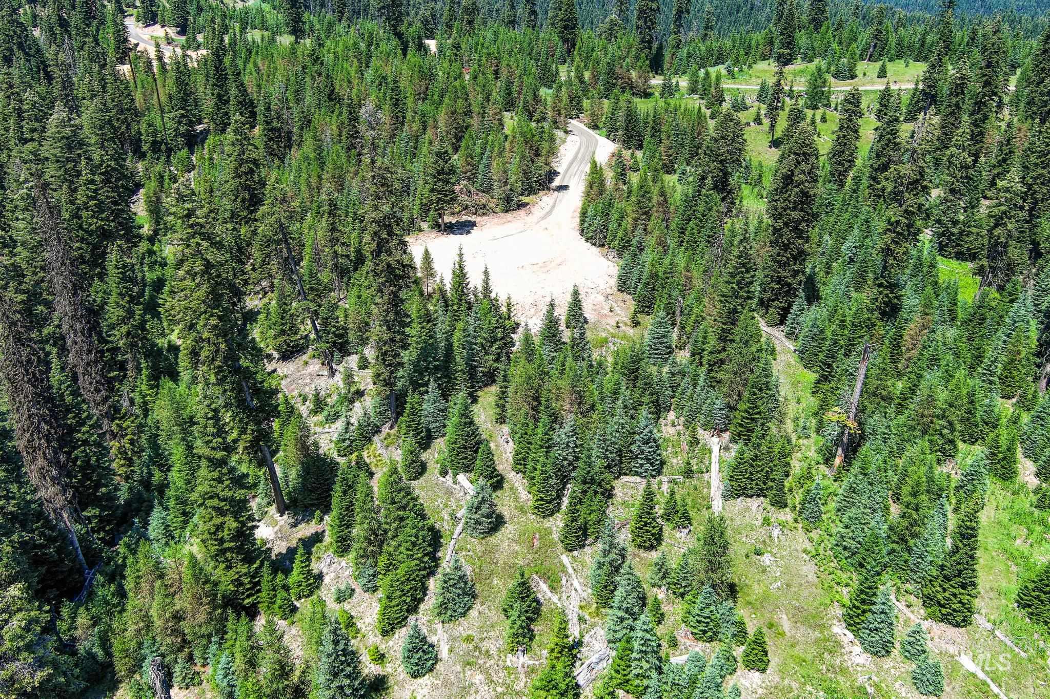 3 Tree Farm Trails Road Elk City, ID 83525 - Photo 11 of 17 Aerial view of property and surrounding area featuring a forest