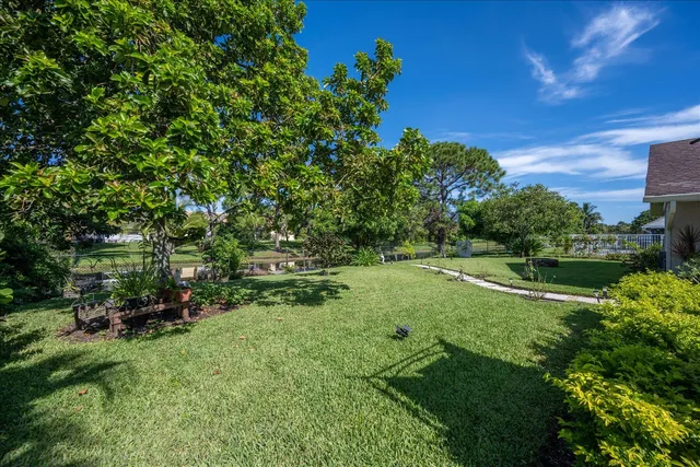 a view of a park with large trees