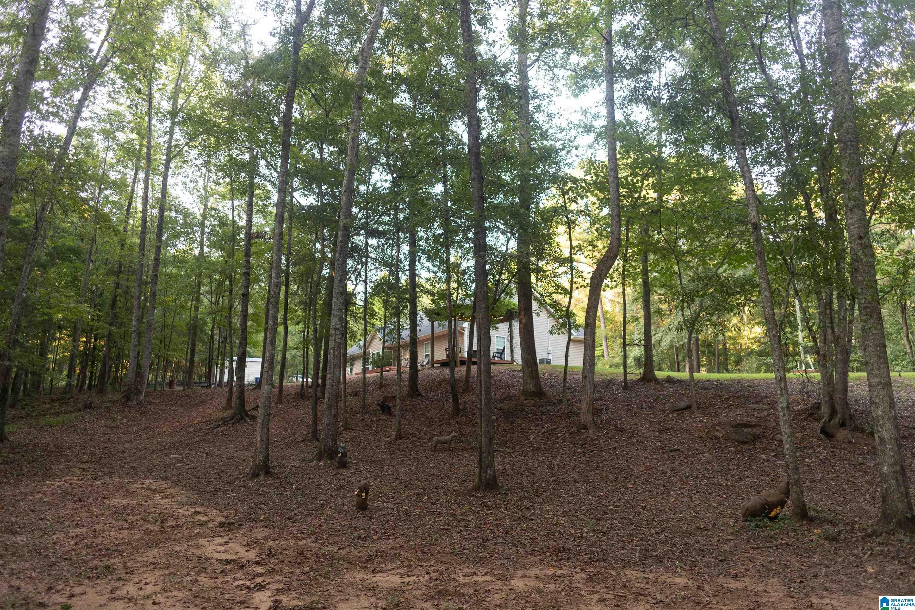 1045 Lee Road Valley, AL 36854 - Photo 13 of 32 Gallery Image 13