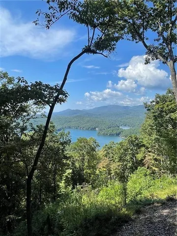 a view of a pathway with a yard