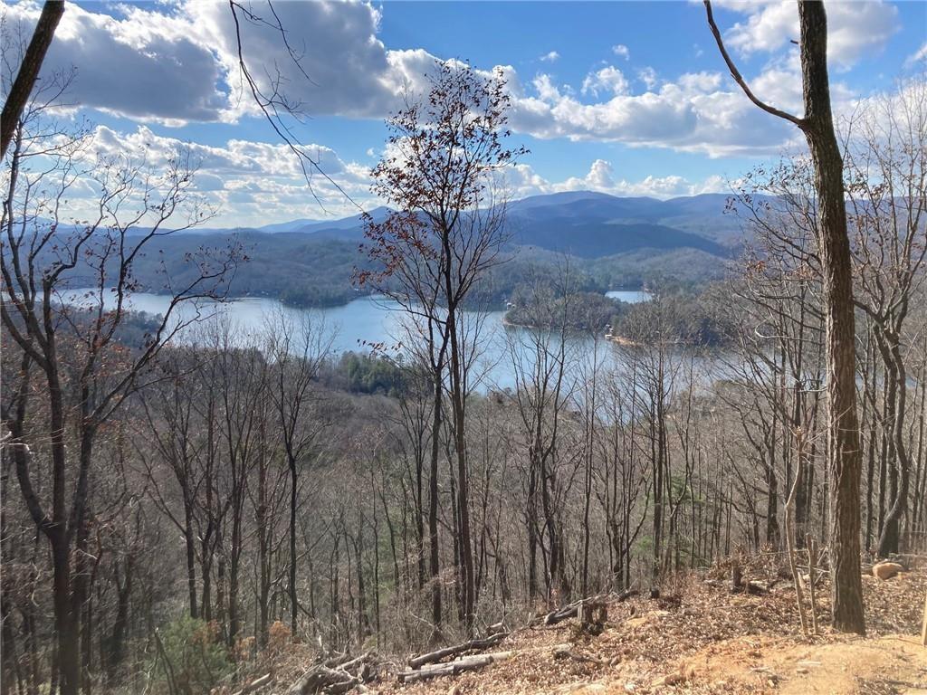 0 Rainwater Trail Tiger, GA 30576 - Photo 2 of 5 a view of a house with a yard
