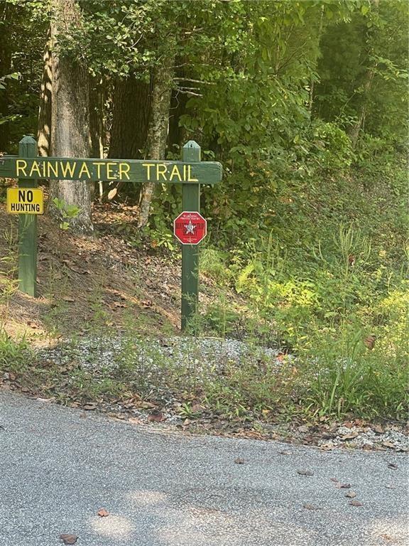 0 Rainwater Trail Tiger, GA 30576 - Photo 3 of 5 a view of a street with trees