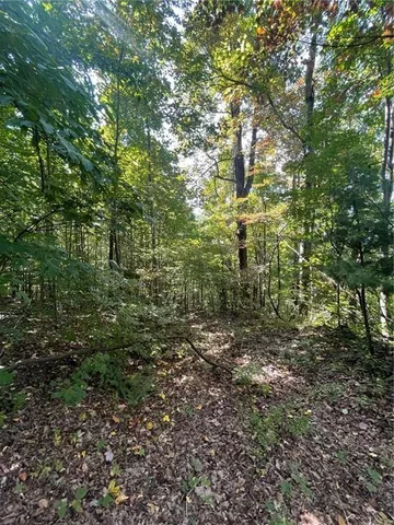 $220,000 | 0 Rainwater Trail, Tiger, GA 30576