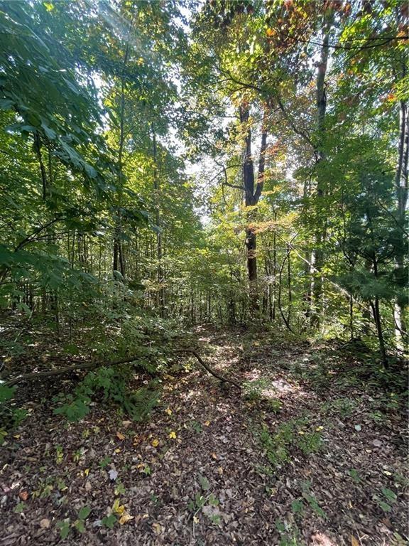 0 Rainwater Trail Tiger, GA 30576 - Photo 5 of 5 a view of a large yard with lots of bushes